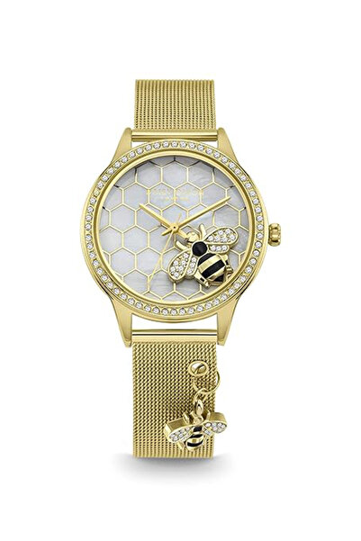 Daisy Dixon London Analog Gold Dial Women's Watch