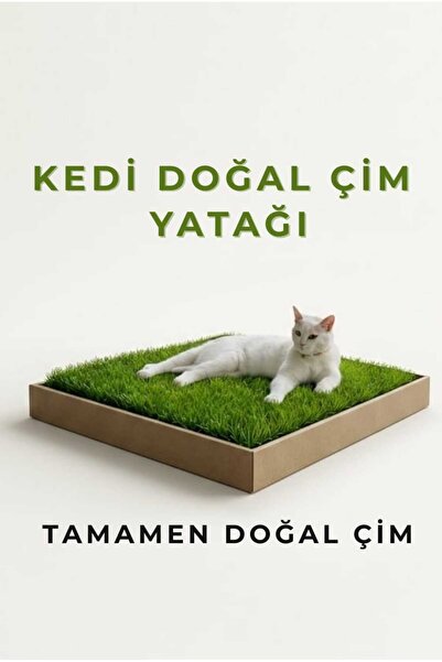 pati nefes Kedi Canlı Gerçek Çim Yatağı