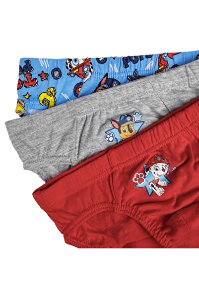 OEM Paw Patrol Children's Ciel Gray Red Panties Set - 3 Pairs 4-6 Years