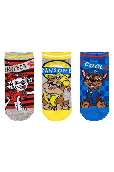 OEM Short Socks Grey Red Yellow Blue with Patterned for Boys - 3 pairs 23-26