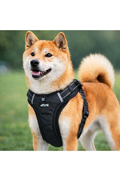 OEM Ham Negru cu Detalii Reflectorizante pentru Caine Large