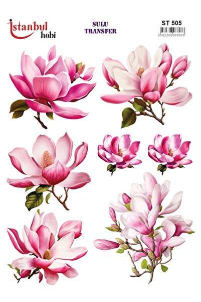 İstanbul Hobi Water Transfer Paper 25X35Cm St-505