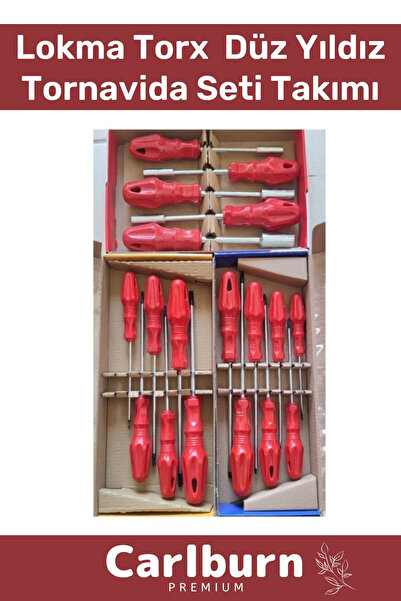 Carlburn Premium Dayanıklı Ev İş Tamirat Tadilat Vida Lokma Torx Düz Yıldız T...