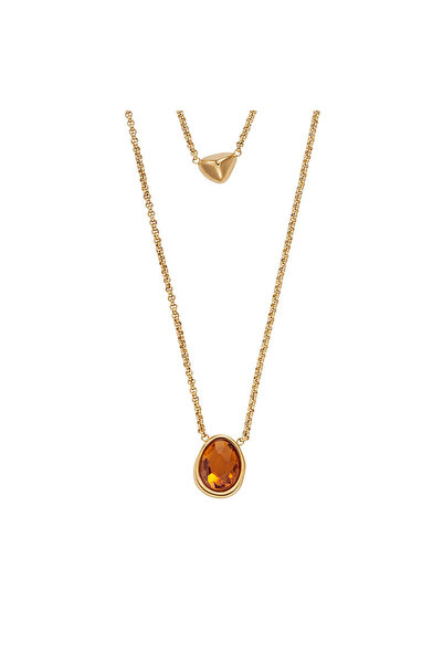 Skagen SKJ1737-710 Kadın Kolye