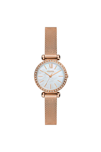 Fossil FBQ3897 Women's Wristwatch