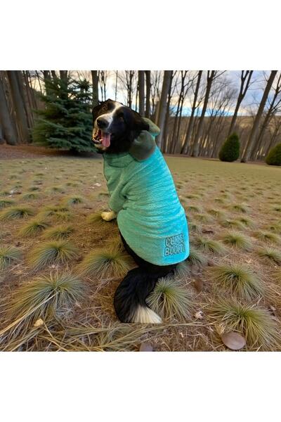 GedyCo Cute Boom Premium Peluş Büyük Irk Köpek Sweatshirtü (21-50 kg arası kö...