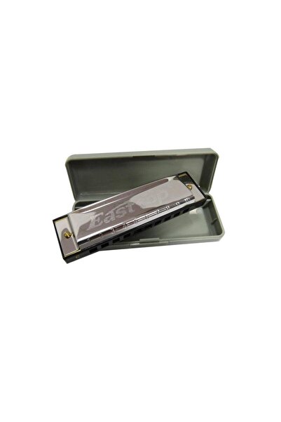 East top T10-4 Blues Harmonica,10 Holes C Key,Diatonic 10 Delikli Mıızıka