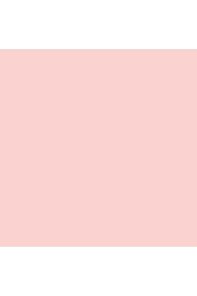 Spectra Color Photocopy Paper Light Pink A4 500 X 5 Pack