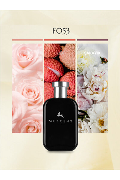 MUSCENT F053 CSignature 50 ml.