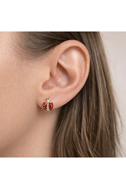 nerora Tarnish-Free Steel Red Ladybug Earrings (Tarnish Guarantee)