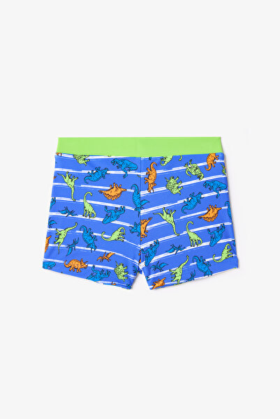 Penti Renkli Dinozor Desenli Erkek Çocuk Boxer Mayo