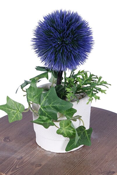 Yapay Çiçek Sitesi Artificial Hedgehog Arrangement in Concrete Flower Pot 30 ...