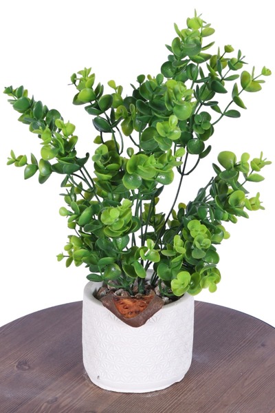 Yapay Çiçek Sitesi Artificial Plant Arrangements in Concrete Flower Pot Model 4