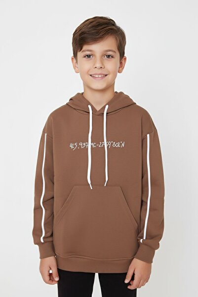 Cansın Mini Dečačka majica Sa kapuljačom - Smeđa, prugasta, Štampano 19218