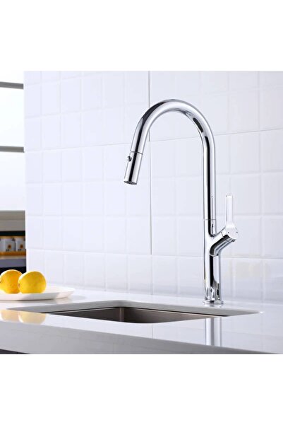 NO BRAND Βρύση κουζίνας με ψεκαστήρα, δύο λειτουργίες ροής νερού, ασημί χρώμιο