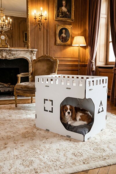 Evene Ahşap Köpek Kulübesi Dekoratif Köpek Evi Beyaz Renk Küp Model