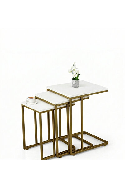 Riyes Tasarım Ahşap 3’lü Tekerlekli Zigon Sehpa Seti – Gold Metal Ayaklı – Mo...