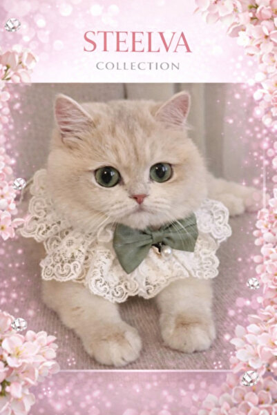 STEELVA زي قطة مع ربطة عنق من اللؤلؤ باللون الأخضر (طوق للرقبة)