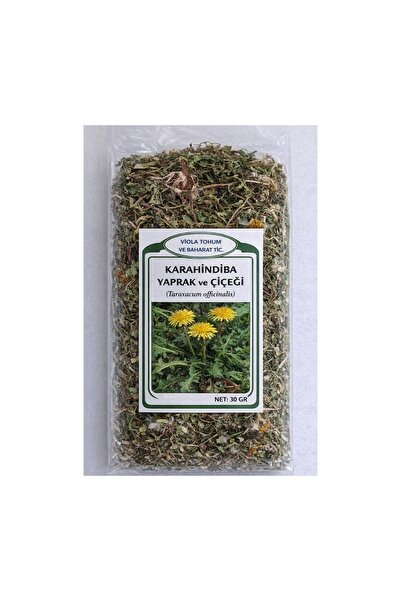 Greenherb Karahindiba yaprak ve çiçeği