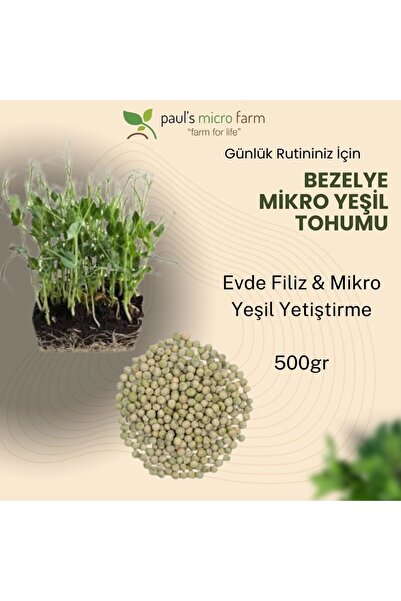 Pauls Micro Farm Bezelye Tohumu 500 Gr (ilaçsız / Çimlendirmeye Uygun)