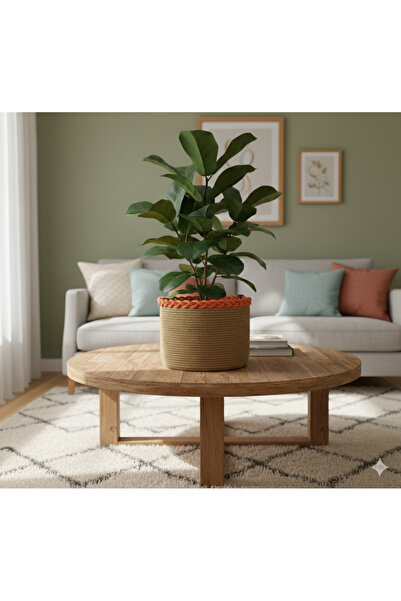 bayram taşcıoğlu home desing زهور، ملابس، منظم، سلة تخزين، إكسسوارات منزلية