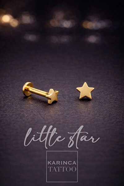 Karınca Piercing Little Star %100 Titanyum Piercing Küçük Yıldız Helix Kulak ...