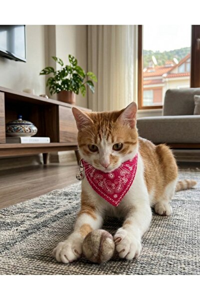 Goshıkı Pink Color Cat Collar with Scarf and Rattle