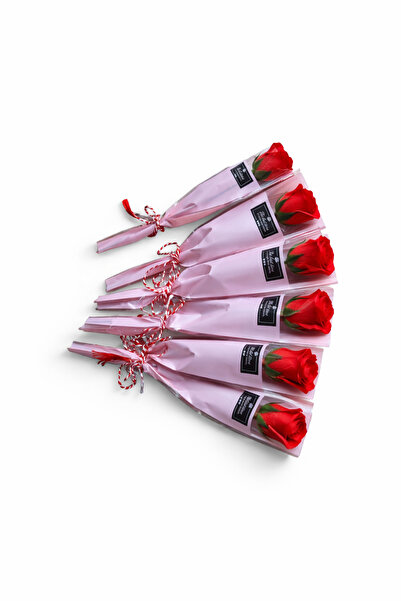 GIA'S WORLD Martisor 8 March 10 Scented soap roses individually wrapped RED