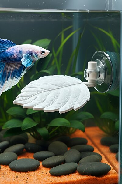 Akvaryum Beta Dinlenme Alanı ⟢ Beyaz ⟢ Betta Balığı Dinlenme Yapragı ⟢ MD İzm...