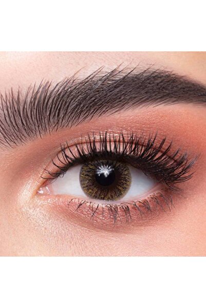 DAHAB Daily Gold Lenses, Size 38 - Brownish