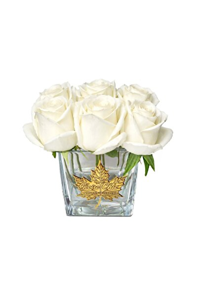 GLOİRE CHİC White nine roses oda parfümü 9 beyaz gonca güllü kare vazo