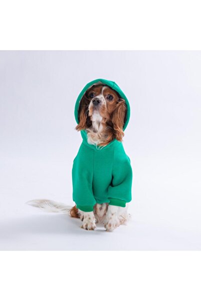 Pawstar Yeşil Bronx Brave Köpek Hoodie Köpek Sweat Köpek Kıyafeti Kedi Kıyafeti