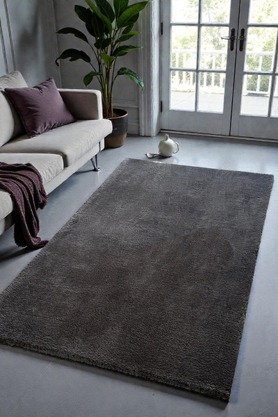 Zeora Home Plush Post Carpet Soft Textured Modern Living Room Living Room Chi...