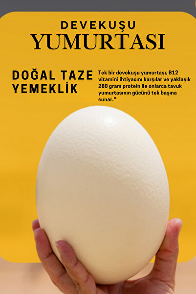 LİLYU Taze Devekuşu Yumurtası - Yemeklik