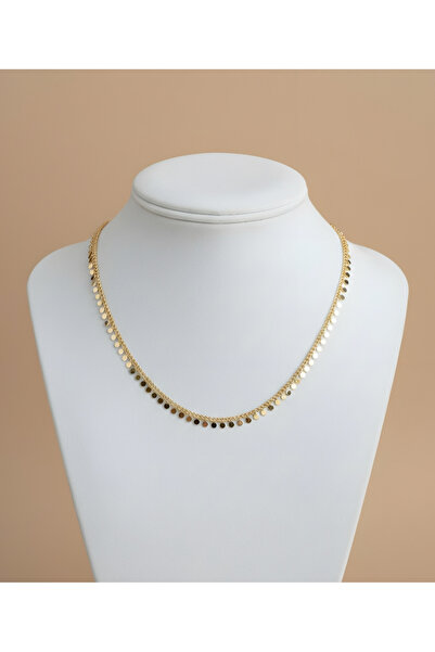 IrisAndCo Özel Seri Sıralı Pullu Çelik Kolye