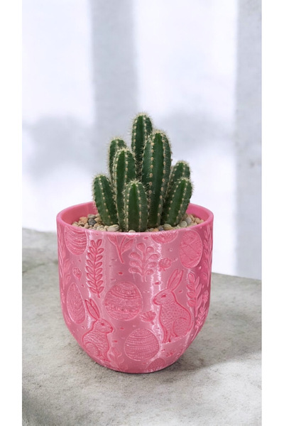 Baalaa Dekoratif Tavşan Desenli Plastik Saksı(Çiçek dahil değildir)