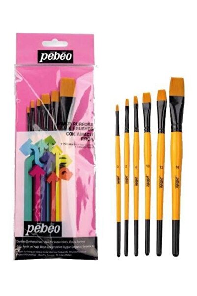 Pebeo Set de perii cu tăietură plată, mâner scurt Nr.: 0-2-4-10-12-18 Set de ...