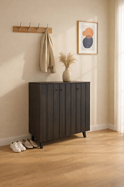 MARIA HOMES Modern Dark Brown Malaysian Shoe Cabinet 3-Door Entryway Organize...