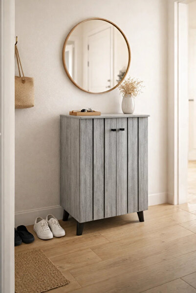 MARIA HOMES Modern Grey Shoe Cabinet with Vertical Panel Design – Compact Ent...