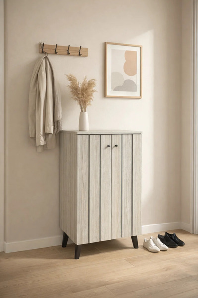 MARIA HOMES Modern Beige 2-Door Shoe Cabinet Compact Entryway Storage Stand w...