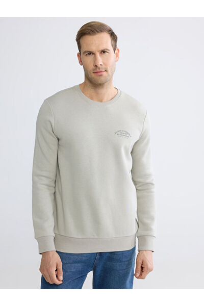 LC Waikiki Sweatshirt gros pentru bărbați cu imprimeu Sparkly Choices Zero Ro...