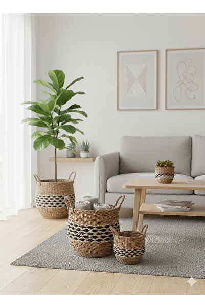 DECHAUS 3 lü Dekoratif El Örmesi Saksılık