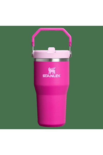 Stanley THE ICEFLOW 0,60L VIOLET(PEMBE)