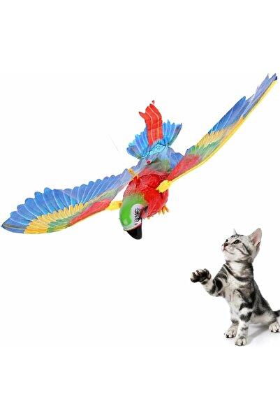 AyrStore Elektrikli Uçan Papağan Kedi Oyuncağı | Asılı Uçan Kuş Kedi Oyuncağı...
