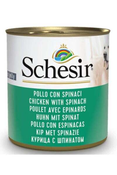 Schesir Chizer for Adult Dogs - Chicken Fillet with Spinach in Jelly - 150g