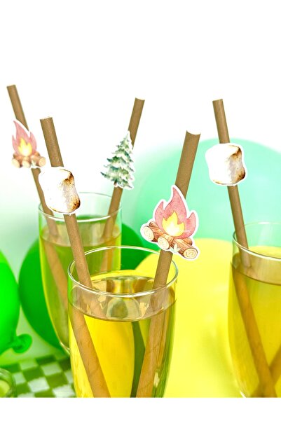 Flu Party مزرعة الكشافة - مصاصات بتصميم شخصيات كشافة صغيرة