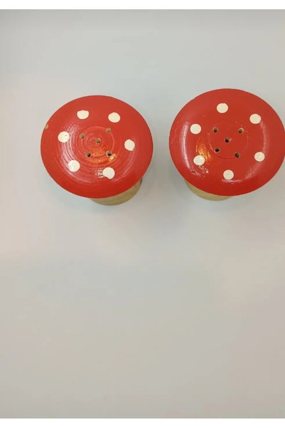 ZİORA HOME 2-Piece Wooden Cork Salt and Pepper Shaker Decorative Set Red