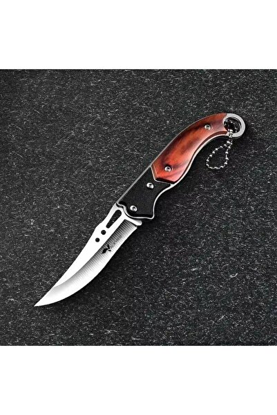 valkyrie Stainless Steel Mini Folding Knife – Curved Sharp Blade, Plastic Han...