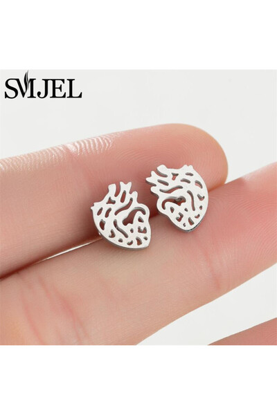 Choice88 Silver Color 463 Exquisite Stainless Steel Small Heart Earrings for ...