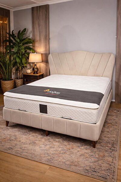 Doğuş Arpi Baza Başlık seti-krem rengi-(yatak dahil değildir)